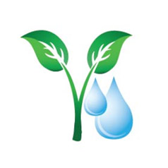 农林业的雨水利用工程
